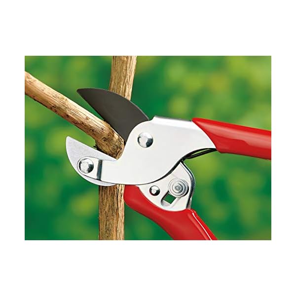 WOLF-Garten - Amboss-Gartenschere »Aktion« RS-EN; 7210060, Basic – Bild 8