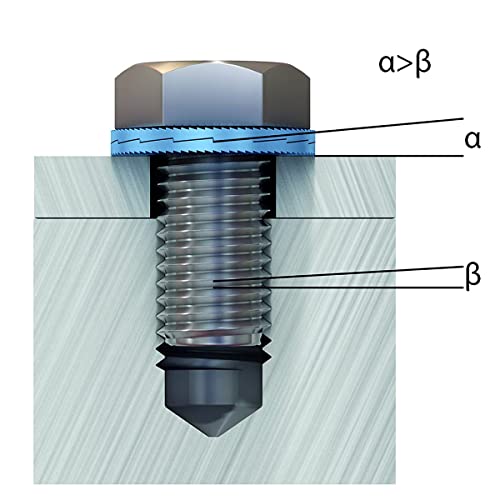 NordLock Wedge Locking Washers Steel (Delta Protect) Washer with