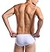 DESMIIT Men's Swimwear Swim Boxer Briefs Swimming Trunks,US Medium/ Asian XL, White