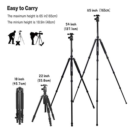 ZOMEI Tripod,Camera Tripod,Lightweight Camera Travel Z818 Tripod Aluminium Alloy Monopod with 360 Panorama Ball Head Quick Release Plate Ball for DSLR Canon Sony Nikon Cameras(Black)