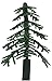 24 ct - Evergreen Trees for Cake and Cupcake Decorating