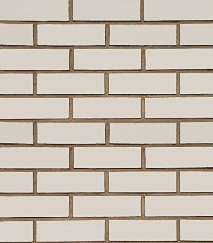 Brick Slips - Classic Textured - 215 * 65 * 15mm - Pack of 30 (1/2 sqm) (Ivory White)