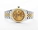 Topwatch Sangdo Men's with Diamond Round Gold Stainless Steel Automatic Mechanical Watches