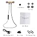 YYQ Bluetooth Headphones Wireless Sports Headset Sweat-Proof Noise-Canceling Earbuds with magnetic and Built-in Mic Headset (gold)