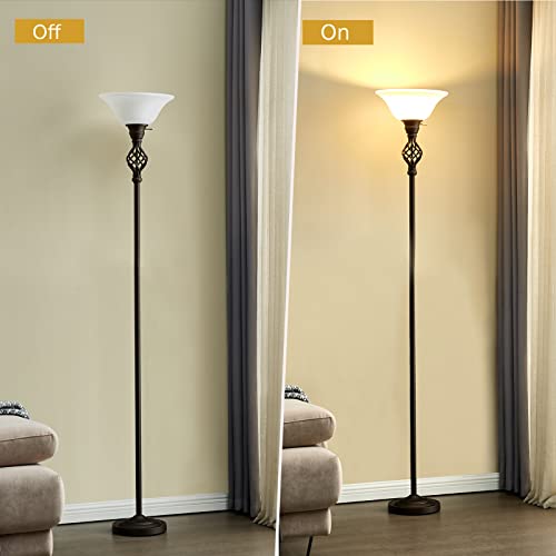 Floor Lamp for Living Room, RAYINIGHT 72\