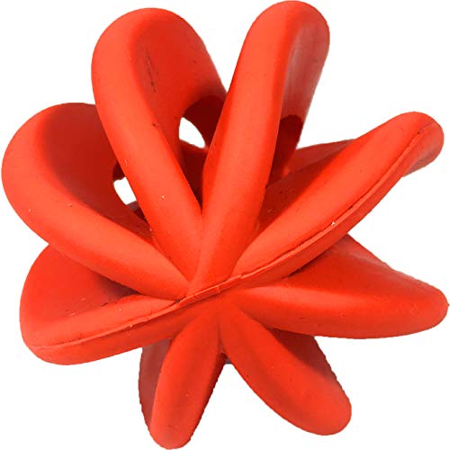 Top 9 hollow rubber balls for dogs Allace Reviews