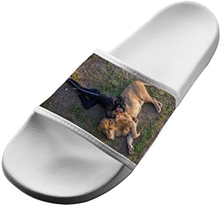 CXSL007 lion Personalized 3D Printing Anti-Slip Outdoor&amp;Indoor Unisex Slippers Slides