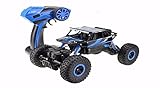 RC car,DeXop 2.4HZ Electric Rock Crawler Radio Control Cars Off Road high speed Racing Remote Control Cars-blue