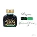 Diamine 80ml Sherwood Green fountain pen ink bottle
