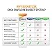 Budgetizer Cash Envelopes System: 12-Pack, Tear & Water Resistant Budget Envelopes for Cash System in Assorted Colors. Bundle Includes Cash Organizer Wallet & Counterfeit Bill Marker Detector