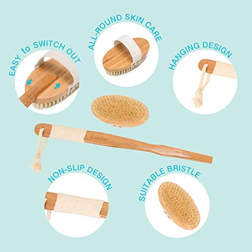 Body Brush Dry Skin Brushing for Bath or Shower - Bamboo Long Handle Back Brush Remove Exfoliating and Cellulite