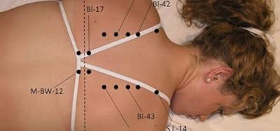 A Textbook of Bowen Technique