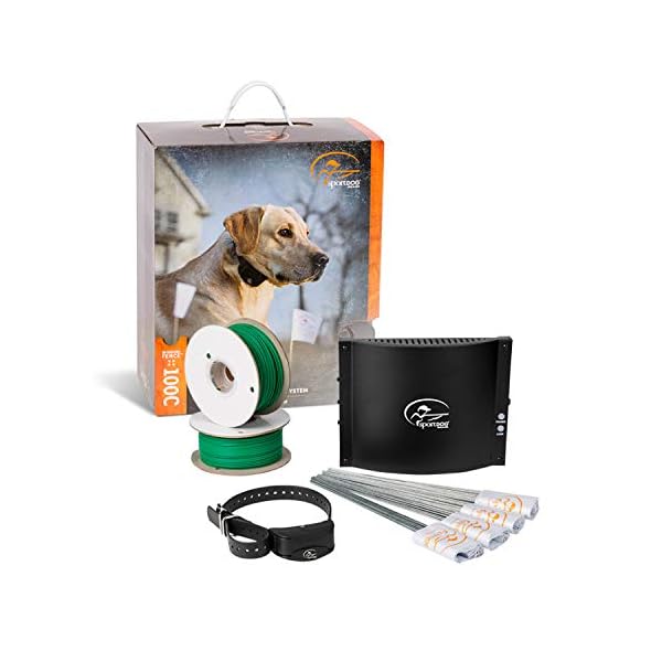 invisible fence remote