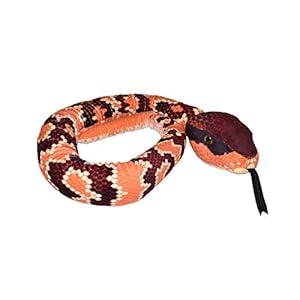 41H%2BwsV0AeL. SS300