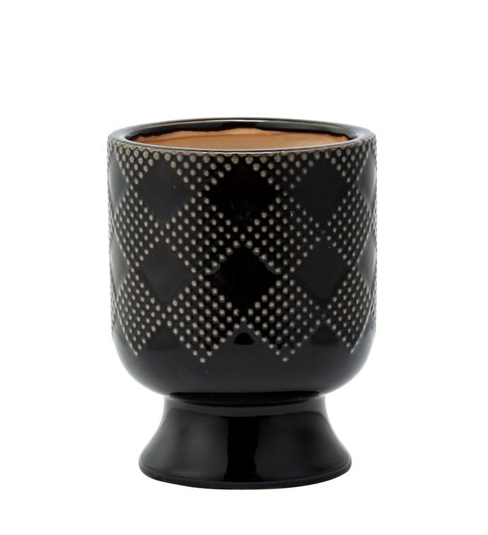 Photo 1 of Napco Imports Indoor Outdoor Plant Succulent Herb Flower Pot 5.75 Inch Ceramic Checkered