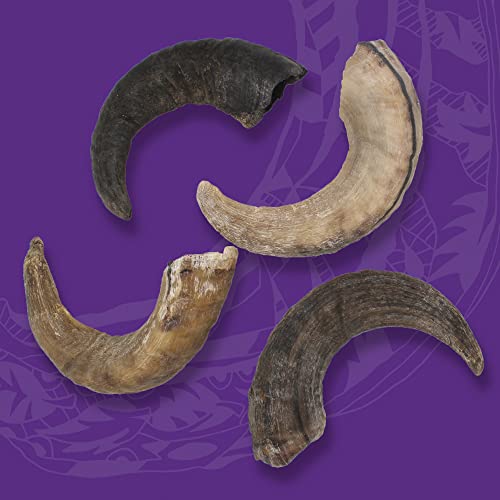 Icelandic+ Plus Large Lamb Horn Dog Chew Pricepulse