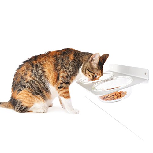 New 4claws Wall Mounted Pet Feeder With Glass Bowls Outlet