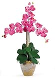 1017-DP Triple Phalaenopsis seda flor de la orquídea Arreglo, rosa oscuro