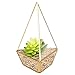 HOMEIDEAS Glod Geometric Terrarium Modern Clear Glass Pyramid Tabletop Box Succulent Plants Holder