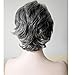 Royalfirst Short Curly Wigs for Women Silver Gray White Hair Wigs Heat Resistant Synthetic with Wig Cap