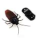 Tipmant RC Cockroach Insect Bug Remote Control Car Vehicle Electric Animal Toy Kids Gift