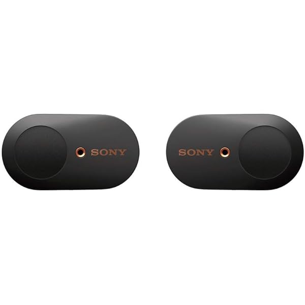 Amazon.com: Sony WF-1000XM3 True Wireless Noise-Canceling Earbud 