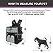 Front Dog Cat Pet Carrier, Dog Backpack Bag by Eugene's. Free Your Hands. Use as: Dog Carrier, Cat Carrier, Carrier For Small pets. New Generation of Dog Carriers. for your pets up to 15 lbs.