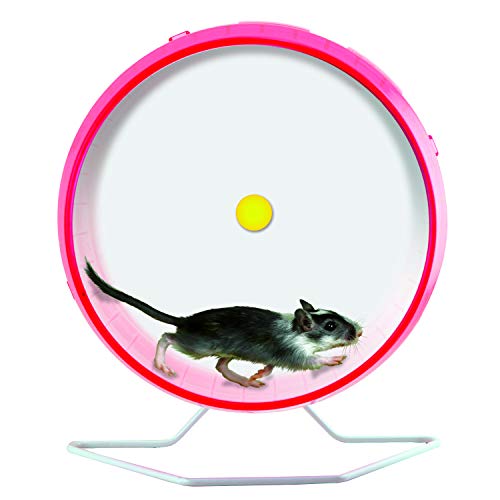 4 Kaytee+Comfort+Exercise+Wheel+Colors