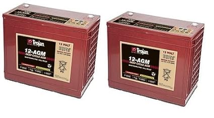 Amazon Com Replacement For Pacific Floorcare S 20 Disk Traction