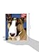 Bull Terriers: Everything About Purchase, Care, Nutrition, Behavior, and Training (Complete Pet Owner's Manual)