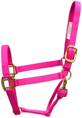 Rose America 48220 BMB Premium Halter, Medium, Fuchsia