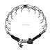 Herm Sprenger Quick Release Steel Prong Collar, 18 inches x 3/25 millimeters, Stainless Steel
