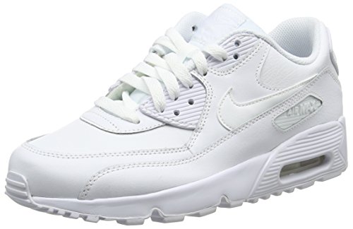 Nike air max 90 LTR (TD) Running Shoes (7 M US Big Kid)