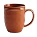 Rachael Ray Cucina Dinnerware 16-Piece Stoneware Dinnerware Set, Pumpkin Orange