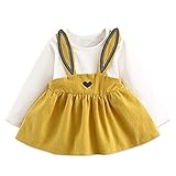 Autumn Winter Baby Princess Long Sleeve with Cute Rabbit Ears Heart Mock Two-piece Bebe Baby Girls Princess Dress