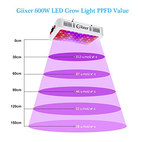 5 Giixer+Switch+Spectrum+Hydroponic+Flower