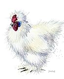 Journal: Silkie Hen (Chicken Collection) by Dreamflight Publications