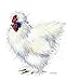 Journal: Silkie Hen (Chicken Collection) by Dreamflight Publications