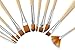 Studio Series Artist's Paint Brush Set (12 highest quality nylon brushes)