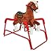 Rockin' Rider Lucky the Deluxe Talking Plush Animated Spring Horse, For Kids 15 months to 3 years