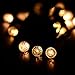 Joomer Fairy 50 LED Global Battery String Lights, Warm White