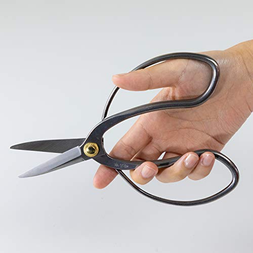 Hanafubuki Professional Bonsai Scissors Stainless Steel with Shinogi, Made in Japan 7inch(180mm), Japanese Bonsai Garden Tools, Hasami Pruning Shears - Traditional Stainless Steel - Thumbnail 7