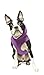 Gooby Fleece Vest Hoodie Dog Sweater - Purple, Large - Warm Pullover Dog Hoodie with O-Ring Leash for Small to Medium Dogs