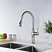 Kitchen Sink Faucet, GICASA Brushed Nickel Single Handle Pull Out Sink Faucet, Stainless Steel Pause Function Sprayer Pull Down Kitchen Sink Faucets