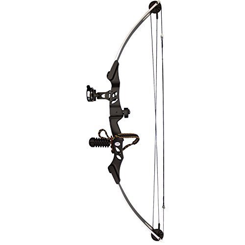 SAS Siege 55 lb Compound Bow w/ 5-Spot Paper Target - Silver/Black with Accessories