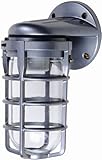 L1707SV One-Light Incandescent Weather Tight Industrial Light (Tools &amp; Home Improvement)