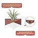 Air Plant Holder, 2 Pack Tillandsia Holder Triangle Geometric Planter Air Plant Holders Container Tabletop Display Stand Vase Pot with Magnet for Hanging Small Air Plants Indoor Wall Home Decor