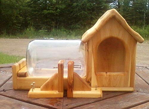 Fence Mount Gallon Glass Jar Squirrel Feeder Cedar Wood Import