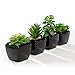 Nattol Modern Mini Artificial Succulent Plants Potted in Cube-Shape Black Ceramic Pots for Home Decor, Set of 4