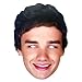 Mask-Arade Men's Liam Payne One Direction Mask